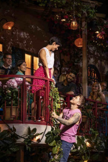 Mamma Mia! The Party