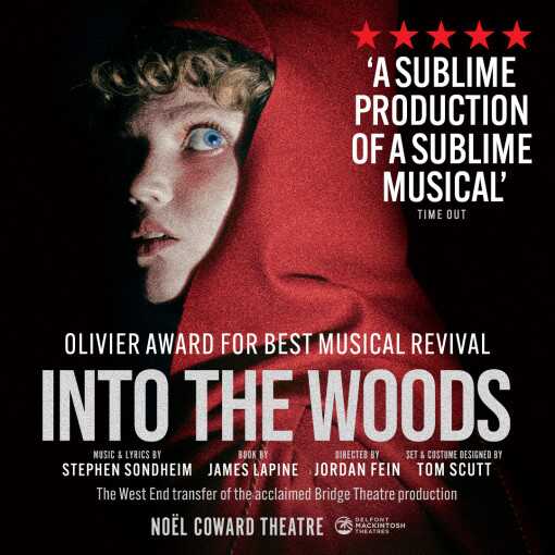 Into The Hoods