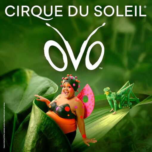 OVO - Cirque du Soleil